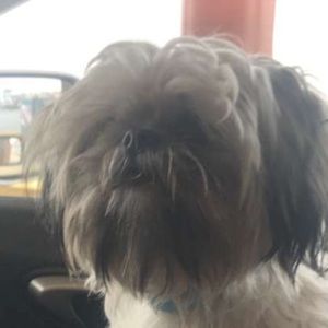 Meet your Posher, Lennis